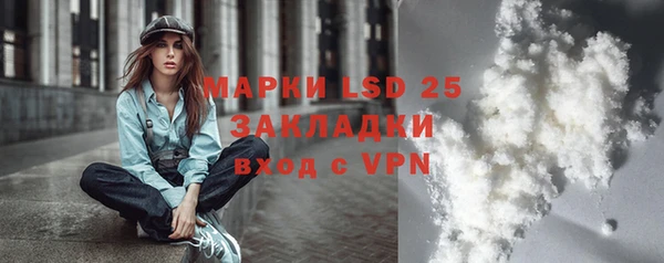 шишки Краснотурьинск