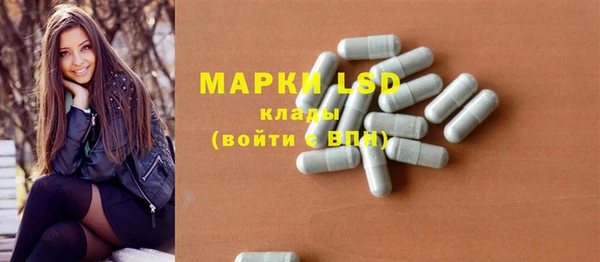 шишки Краснотурьинск