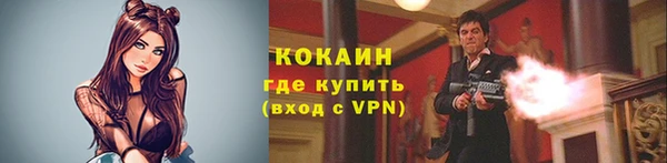 шишки Краснотурьинск