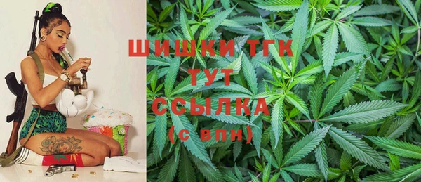 шишки Краснотурьинск