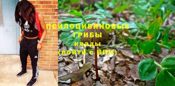 синтетический гашиш Краснослободск