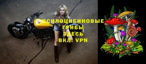 синтетический гашиш Краснослободск