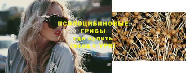 шишки Краснотурьинск