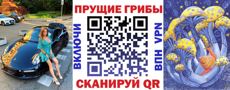 Купить  Ревда  Псилоцибиновые грибы мицелий 